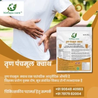 Tran Panchmool Kwath: The Ayurvedic Elixir for Digestive and Respiratory Health